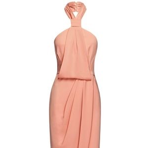 Shona Joy Knot Draped Dress